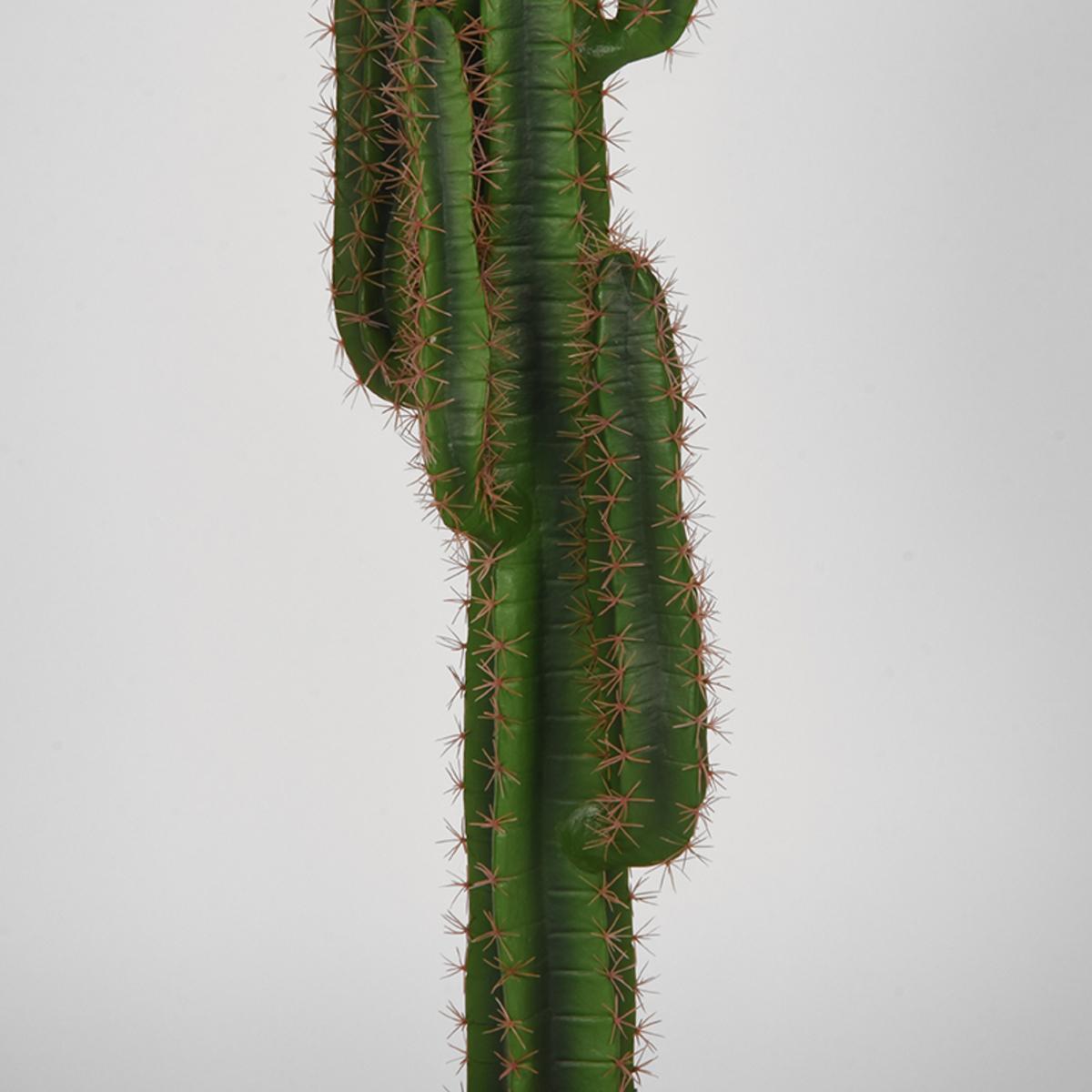  Cactus - Groen - Kunststof - 130 cm afbeelding 3