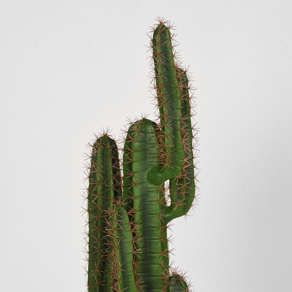  Cactus - Groen - Kunststof - 130 cm afbeelding 4