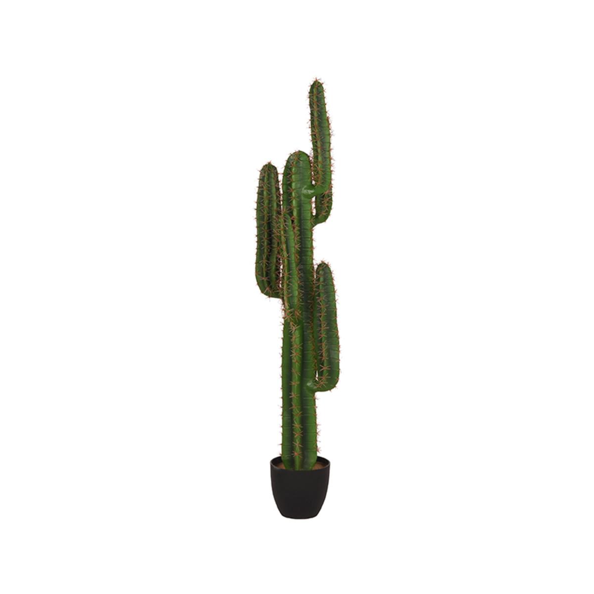  Cactus - Groen - Kunststof - 130 cm afbeelding 2