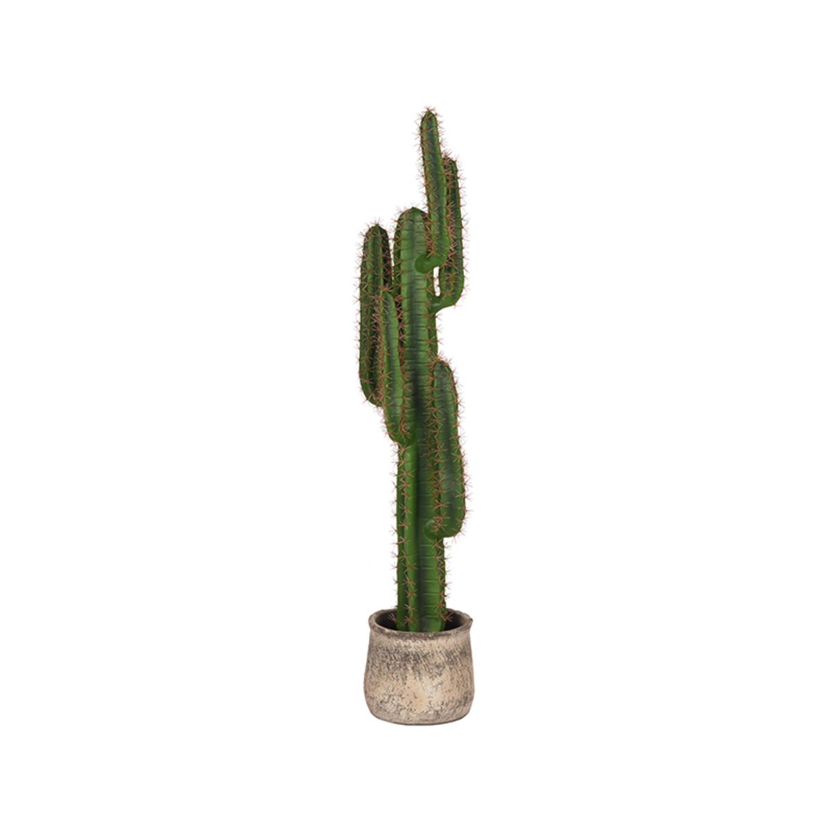  Cactus - Groen - Kunststof - 130 cm afbeelding 1