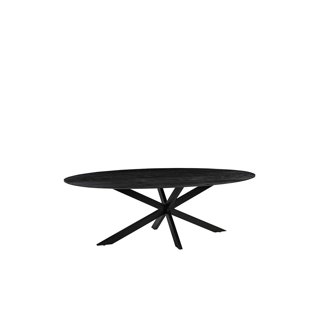  Eetkamertafel James - Zwart - Mangohout - 160 cm - Ovaal afbeelding 1